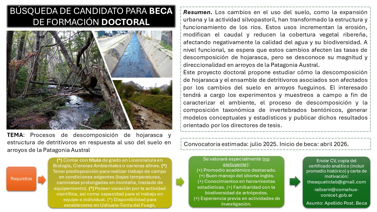 Búsqueda de candidato para Beca Doctoral